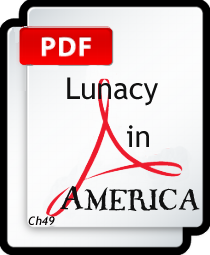 Lunacy In America PDF